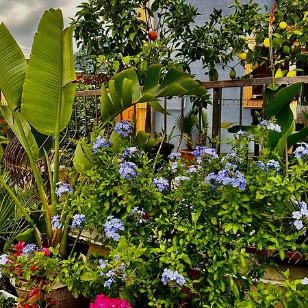 إيغيرسولوك Vintiamo Apartmanok المظهر الخارجي الصورة