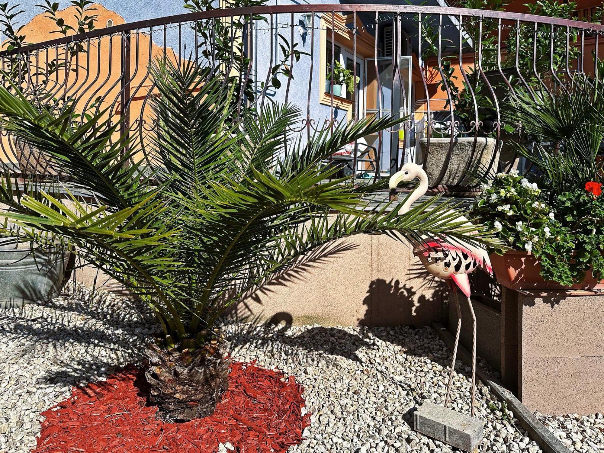 إيغيرسولوك Vintiamo Apartmanok المظهر الخارجي الصورة